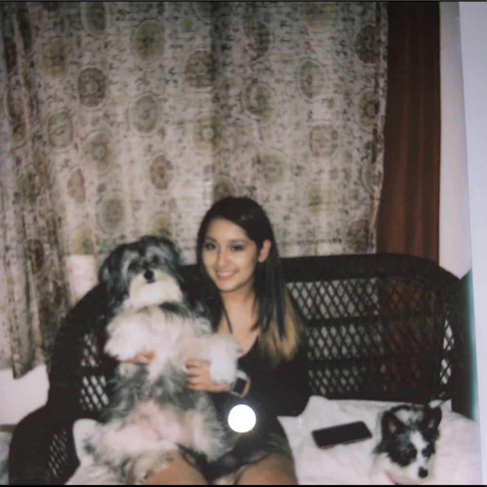 Meet your Posher, Norma